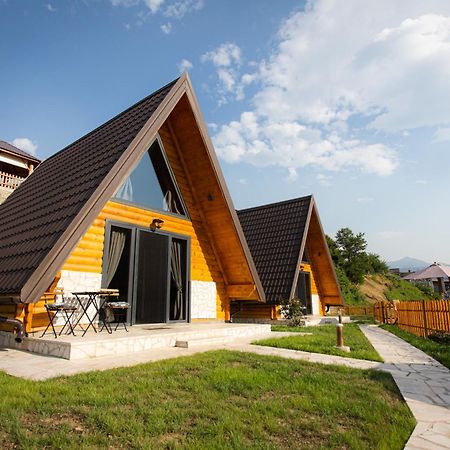 Waterfront Peace Villa Mojkovac Kültér fotó
